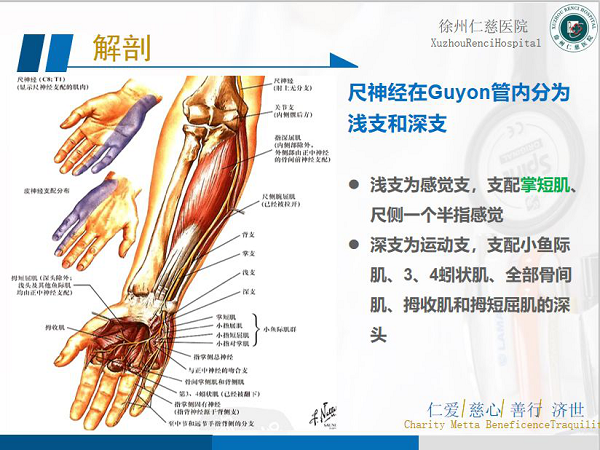 腕尺管综合征