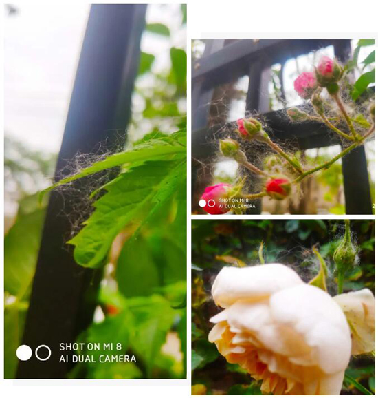 皮肤过敏
