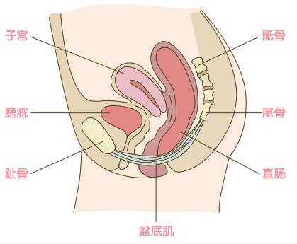 预约手术