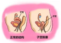 童晓文