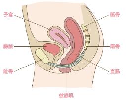 童晓文