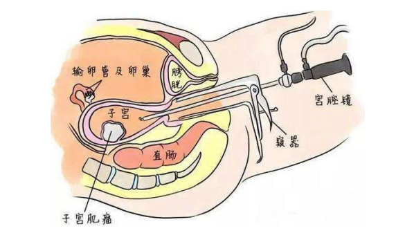 仁慈医院