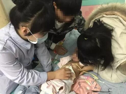 辅食