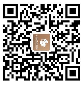 520限定