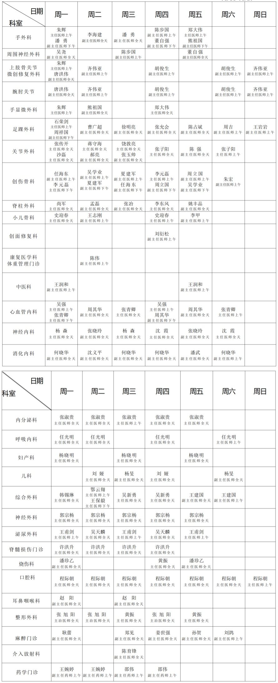 专家